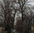 5fpeidhqoyut3dhlavh8xarssy4za93p.webp - Gorod48.ru