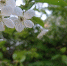 iHG9SG9Da02BIF7UBcQEaucHoIIiay5iCUxary6OIYRyDzuJGv5UtTuerd3NvWpmcYCoDYYap-GmIeZyUksXQpdn - Рязанские ведомости