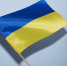 Эксперт Онуфриенко: «Украина не нужна Евросоюзу и даром» - Вести Подмосковья