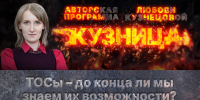 «Кузница»: ТОСы – до конца ли мы знаем их возможности? - Pln-Pskov.Ru