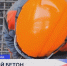 Нижегородцам рассказали подробности строительства метро на улице Горького - Время Н