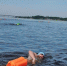 В Чайковском пройдет массовый заплыв через Воткинское водохранилище - V-Kurse.Ru