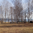 парк на Варкауса - Петрозаводск говорит