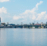 Фото: Dubchuk Tetiana/Shutterstock/Fotodom - Ямал-Медиа