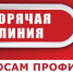 всероссийская горячая линия по профилактике клещевого энцефалита и инфекций - фото - 1 - Духовщинский район
