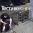 Воронежцы устроили кровавую драку на улице Беговой - ГТРК Воронеж