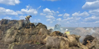 В Самарской области потушили сено на поле - SamaraGIS.Ru