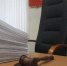 Суд вынес решения по авторам видео прилетов БПЛА - Город Че