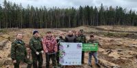 05.05.2026 | В Западнодвинском лесничестве прошла акция «Сад памяти» - Главное управление по архивному делу