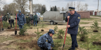 Сотрудники Отдела по конвоированию УФСИН России по Тверской области приняли участие в акции «Сад Памяти» - УФСИН