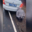 В Ярославской области задержали угонщиков автомобиля семьи участника СВО - Ярославский регион