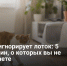Кот игнорирует лоток: 5 причин, о которых вы не думаете - Самарская Газета