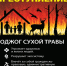 Пал сухой травы преступление - Город Волгореченск