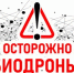 ПАМЯТКА: ОСТОРОЖНО - «БИОДРОНЫ»! - Инспекция по охране объектов культурного наследия