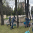 Личный состав ИК-2 принял участие в акции «Дон помнит» и Всероссийской неделе субботников «Мы за чистоту» - ГУФСИН Ростовской области