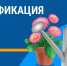 Курянам рассказали, как газифицировать дом в СНТ - РИА Курск