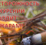 О правилах безопасного поведения в период весеннего пожароопасного сезона - Никольский район