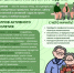 Искусство жить долго и счастливо - Город Бор