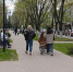 Благоустройство аллеи по улице Ленина. - Город Ровеньки