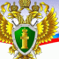 ПРОКУРАТУРА ПРИМОРСКОГО РАЙОНА ПОЧТИЛА ПАМЯТЬ ВЕТЕРАНА ВЕЛИКОЙ ОТЕЧЕСТВЕННОЙ ВОЙНЫ ТИМОФЕЯ НИКОЛАЕВИЧА ШИЛОВА. - Приморский муниципальный округ