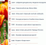 Май в Янино и Суоранде обещает быть тёплым и очень насыщенным! - Заневское городское поселение