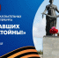 Городская акция «Памяти павших будьте достойны» на Пискаревском мемориальном кладбище - Комитет по образованию