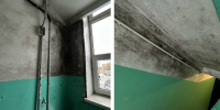 плесень на стенах в подъезде - ИА Nord-News.Ru