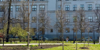 Более 450 деревьев и почти 400 кустарников планируется высадить в Нижнем Новгороде до конца мая - Администрация г. Нижний Новгород