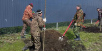 Сотрудники Тетюшского лесничества и лесхоза высадили 234 липы в рамках экологической акции - Министерство лесного хозяйства