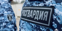 Росгвардейцы по горячим следам задержали рецидивистов, напавших на охранника магазина в Подмосковье (видео) - Росгвардия
