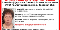 В Осташковском округе ищут пропавшую пенсионерку - Афанасий-биржа