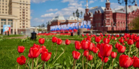 5 мая стало самым теплым днем с начала года в столице - M24.Ru