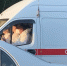 Брянцев предупредили о Дне православного донора - ИА Наш Брянск.ru