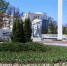 Городские клумбы расцветают: в Рязани продолжается высадка цветов - Комсомольская Правда
