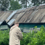Полено для малины: мои кусты не разрастаются по всему участку, а урожай собираю ведрами - Pg11.Ru