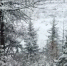 image - GazetaRB.Ru