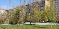 Фото СарБК - ИА СаратовБизнесКонсалтинг