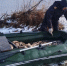 Улов в 500+ карасей обернулся для амурчанина уголовным делом - gtrkamur.ru - ГТРК Амур