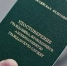 Минтруд России расширил перечень профессий для прохождения альтернативной гражданской службы - Госкомитет занятости населения