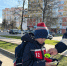 В Орле юным пешеходам порекомендовали быть ярче - Орловский Вестник