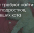 Поделитья во ВКонтакте - Братская Студия Телевидения