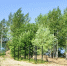 1-oO9HLgp4mV2V26BUr58yfuMvd-6bHqjKRPZrEWLCcwIijDWPK3eAfMgd.jpg - Ozersk74.Ru