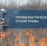 Отжиги сухой травы пройдут в Октябрьском округе Иркутска - Weacom.Ru