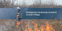 Отжиги сухой травы пройдут в Октябрьском округе Иркутска - Weacom.Ru
