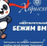 «Бежим вместе —2026» V республиканский благотворительный забег - Министерство труда и социального развития РС(Я)