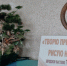 Выставка шитья «Творю прекрасное – рисую нитью» - ЦБС г. Ялуторовска
