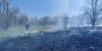 Искра от поезда спровоцировала крупный ландшафтный пожар в Шигонском районе - фото с места ЧП - КТВ-ЛУЧ