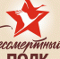 Они должны идти победным строем во все времена! - Краеведческий музей им. В.П. Бирюкова