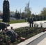 В парке «Патриот» высадили 450 роз - Vkurske.Com