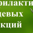 Эффективные меры профилактики клещевых инфекций - Роспотребнадзор